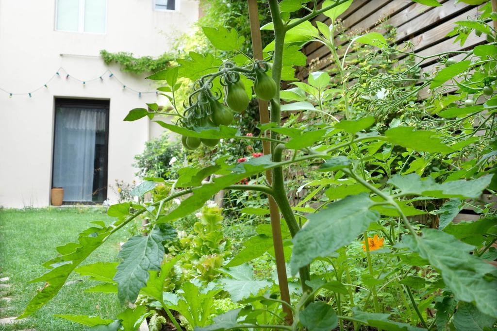 La Campagne à Paris B&B Extérieur photo